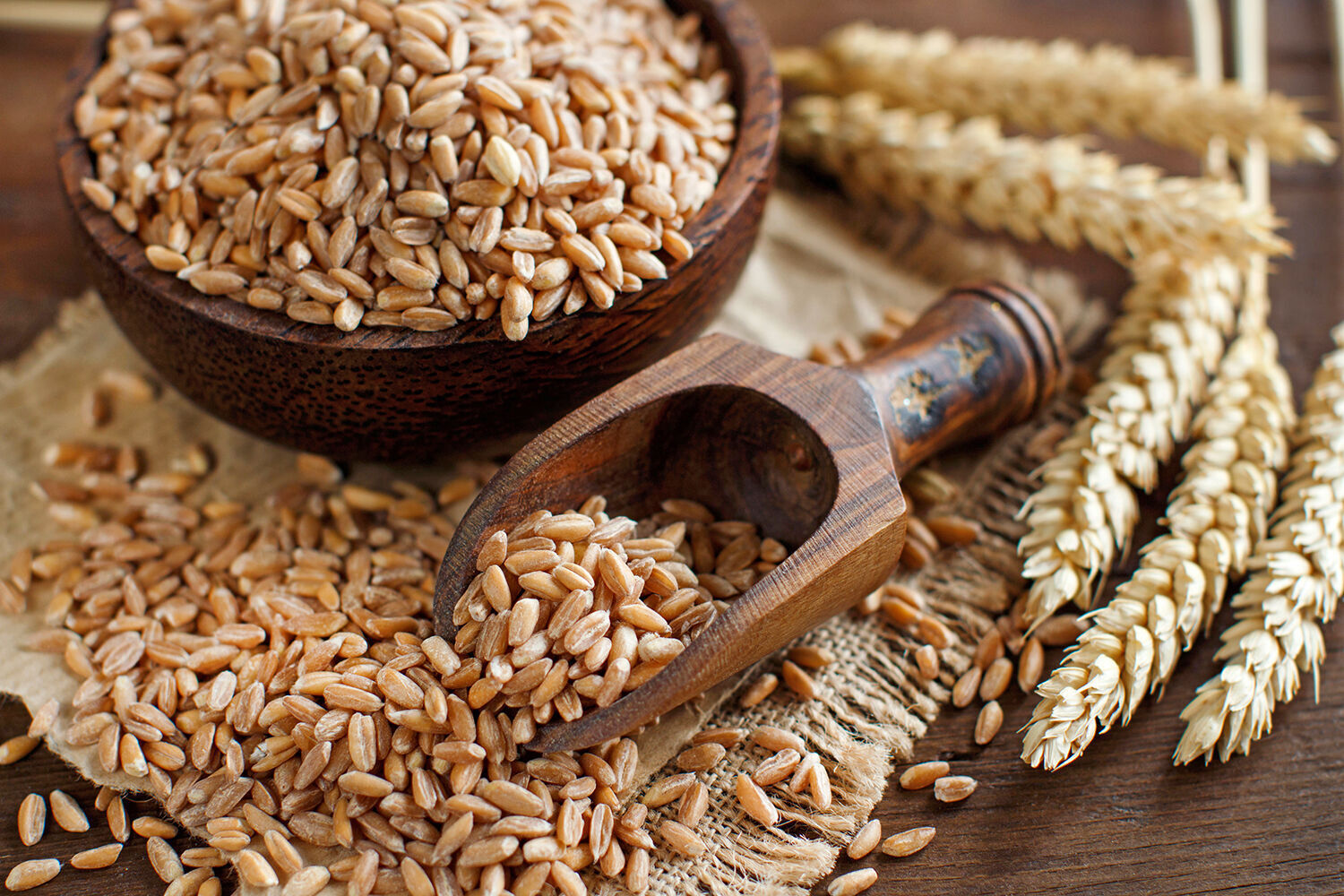 Spelt